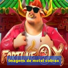 imagens de motel cobras